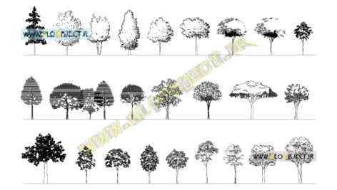 بلاک اتوکد نمای درختان متنوع